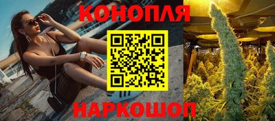 амф Бердск