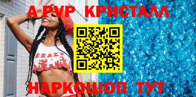амф Бердск