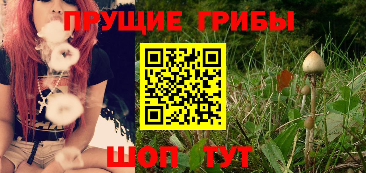 Галлюциногенные грибы прущие грибы Воркута